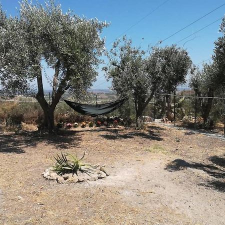 Villa Emma Con Panorama Etna A 10 Minuti Dal Mare Lentini Exteriér fotografie