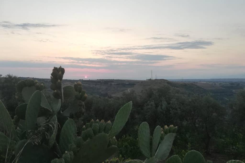 Villa Emma Con Panorama Etna A 10 Minuti Dal Mare Lentini Exteriér fotografie